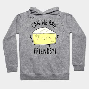 Can We Brie Friends Funny Cheese Puns Hoodie
